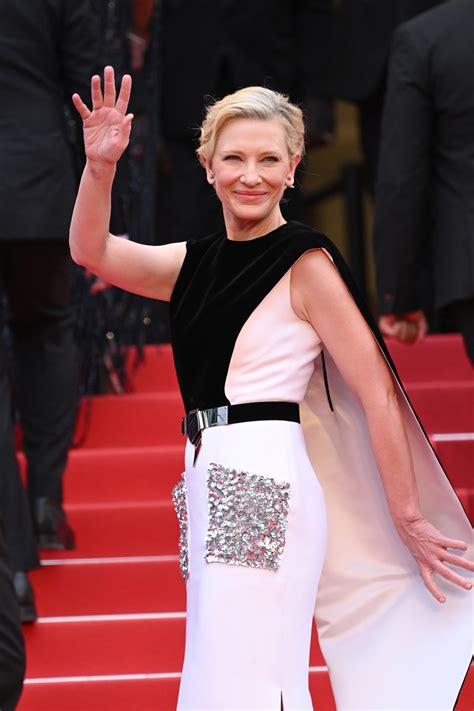 louis vuitton cate blanchett|cate blanchett red carpet.